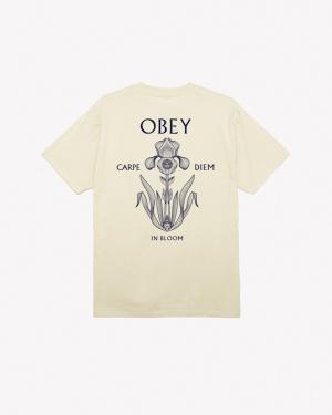 OBEY IRIS IN BLOOM CLASSIC T-SHIRT 165263775