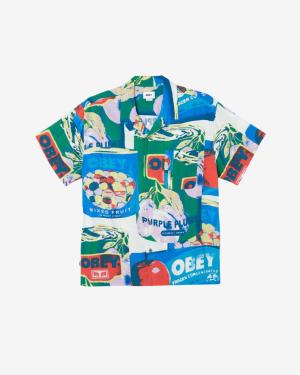 OBEY  FRUIT CANS SS SHIRT 181210408