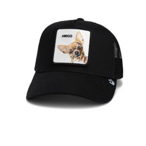 Goorin  chihuahua The Amigo  101-1787E