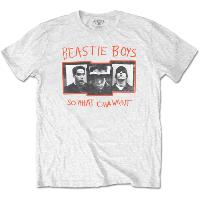   THE BEASTIE BOYS UNISEX T-SHIRT: SO WHAT CHA WANT  BEASTIE B4