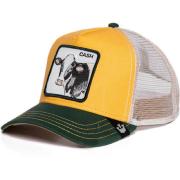 Goorin Cash Cow  101-0383Y