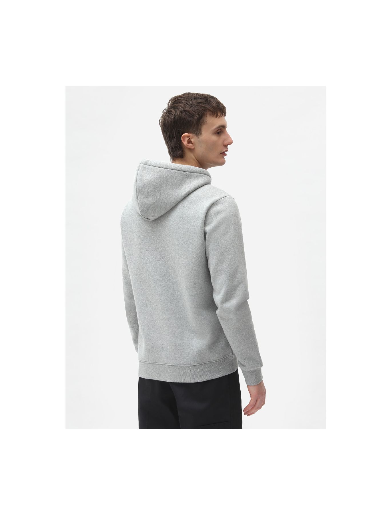 Dickies ICON LOGO HOODIE  ICON LH2