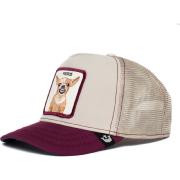 Goorin  FIERCE 101-0400